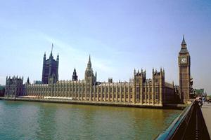 健康に留意した家造りを行ってくれる