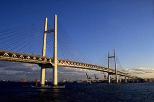 ポラスの分譲住宅販売に関すること