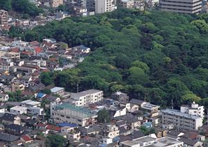 路線価や公示地価なども参考にできる