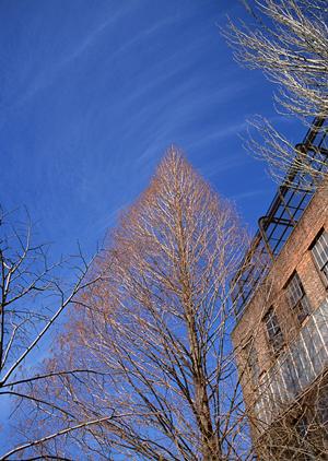 ビル管理会社は東京のMMSへ