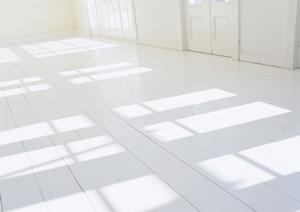 ジップライン導入の成功事例と工事のポイントを徹底解説！安全で魅力的なアトラクションを実現するためのガイド